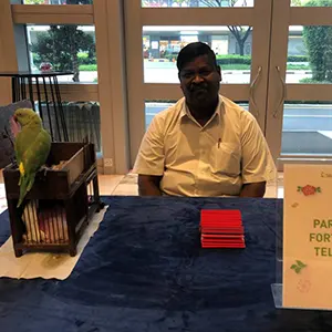 Parrot Fortune Teller - Event Services Singapore